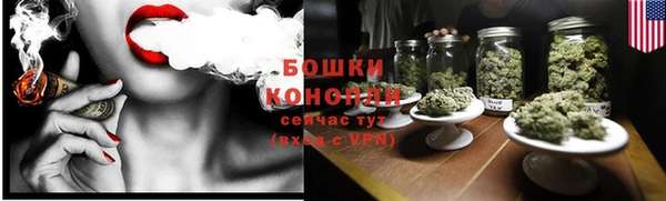 прущие крисы Верея