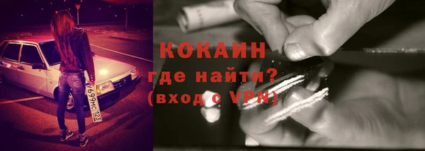шишки Михайлов