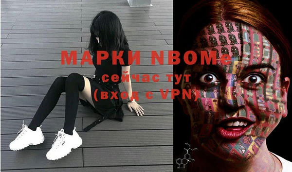 прущие крисы Верея