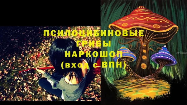 ALPHA-PVP Верхний Тагил
